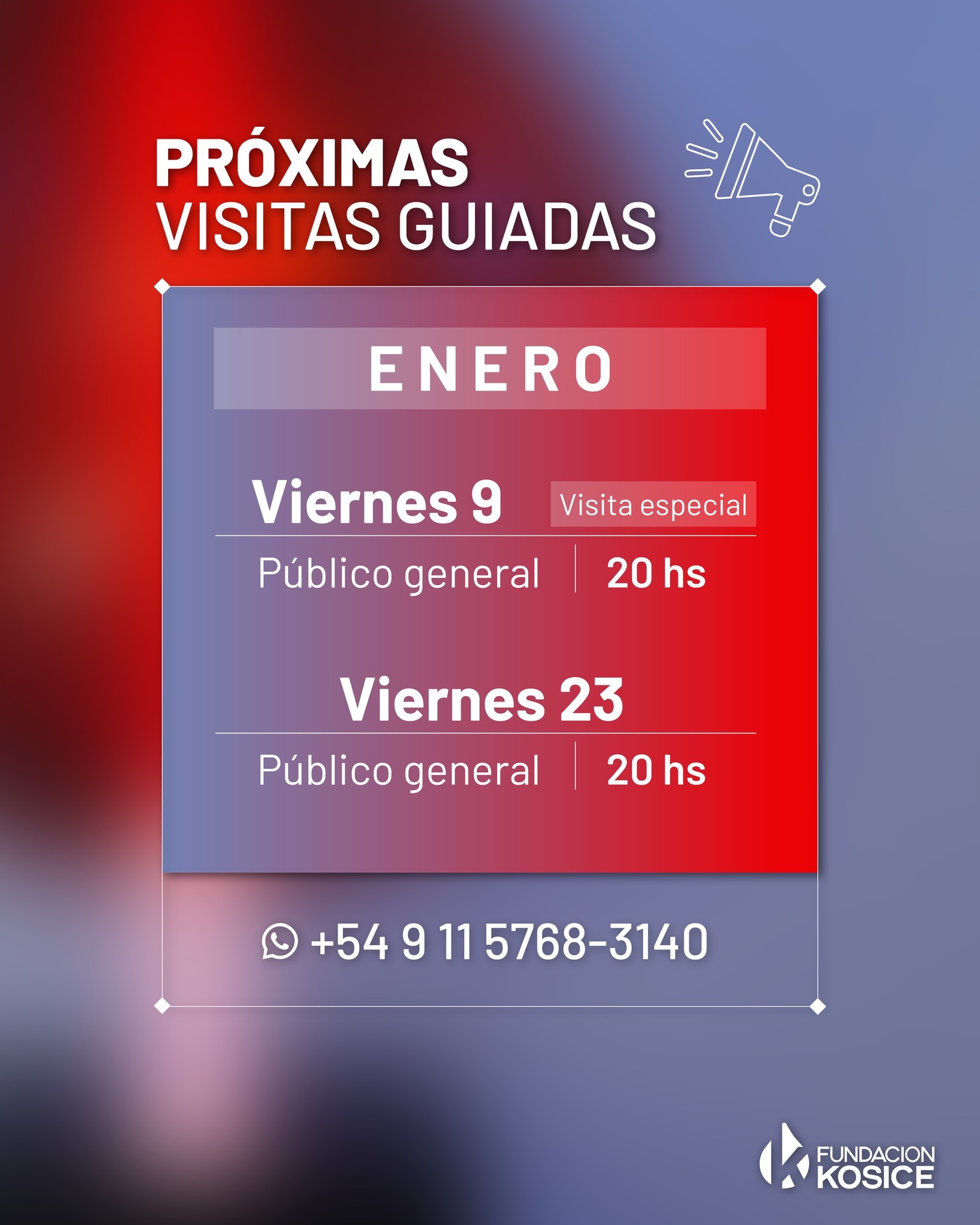 ✨ 2026: Próximas visitas guiadas en el Museo Kosice ✨